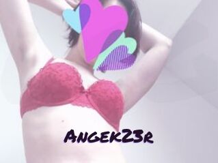 Angek23r