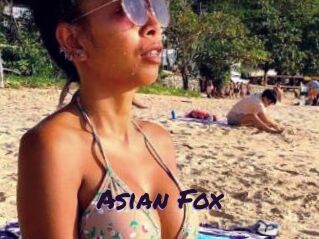 Asian_Fox