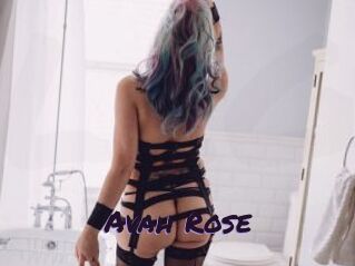 Avah_Rose