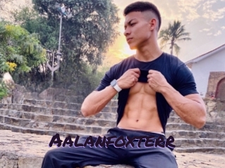 Aalanfoxterr