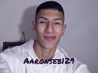 Aaronseb129