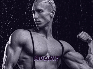 Adonis