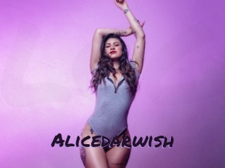 Alicedarwish