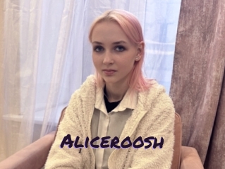 Aliceroosh