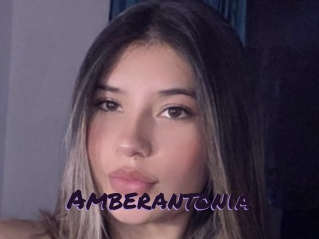 Amberantonia