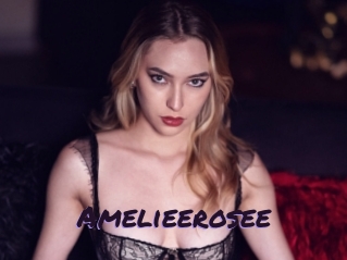 Amelieerosee