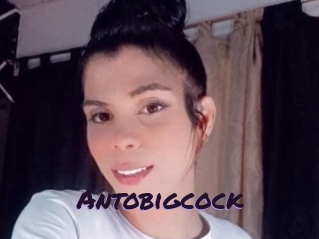 Antobigcock