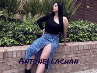 Antonellachan