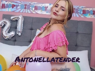 Antonellatender