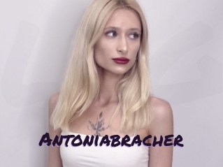 Antoniabracher