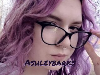 Ashleybarks