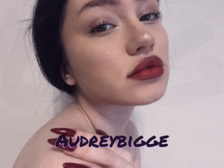 Audreybigge