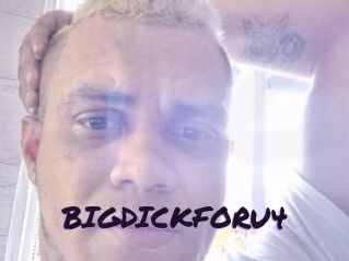 BIGDICKFORU4