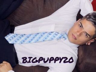 BIGPUPPY20