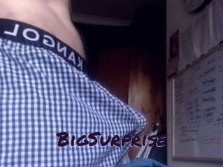 BigSurprise Le Cul Gratuit