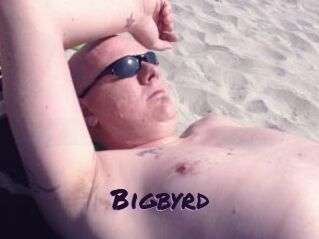 Bigbyrd