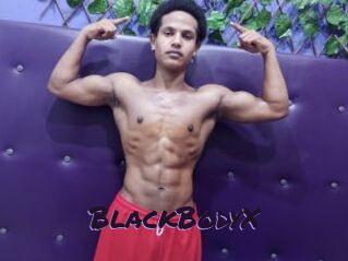 BlackBodyX