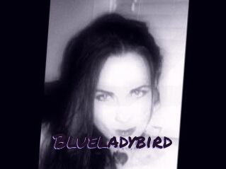 Blueladybird