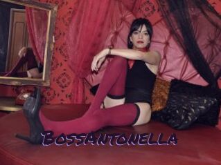 BossAntonella