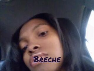 Breche