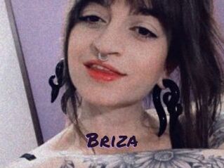 Briza