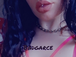 Badgarce