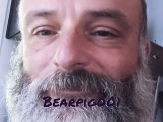 Bearpig001