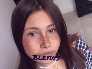 Bleydys