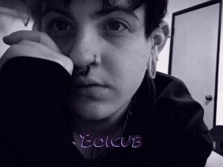 Boicub