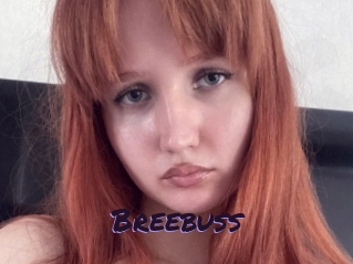 Breebuss