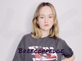 Breecoppedge