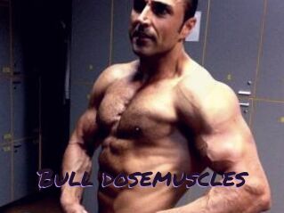 Bull_dosemuscles