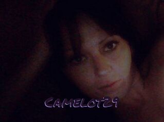 Camelot29