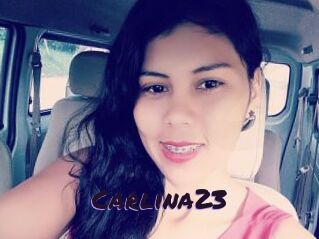 Carlina23