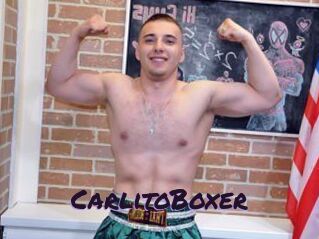 CarlitoBoxer