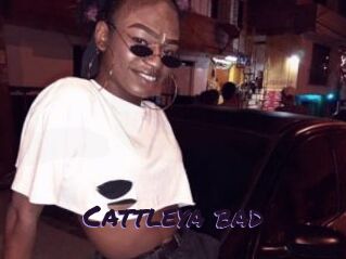 Cattleya_bad