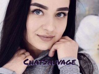 ChatSauvage