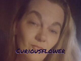 Curiousflower