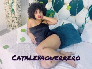 Cataleyaguerrero