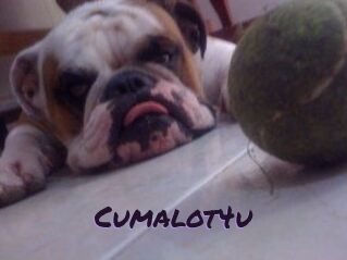 Cumalot4u
