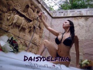 Daisydelfina