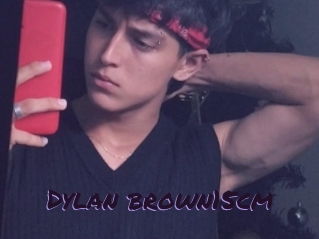 Dylan_brown15cm