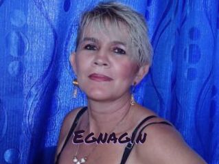 Egnagin
