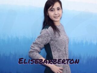 Elisebarberton