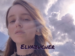 Elvabucher