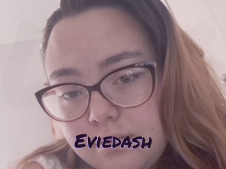 Eviedash