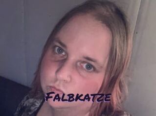 Falbkatze