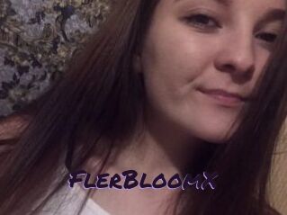 FlerBloomX