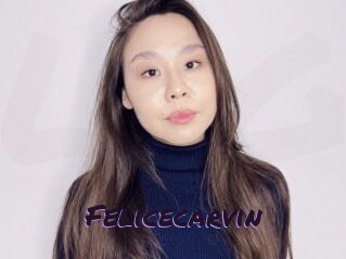 Felicecarvin