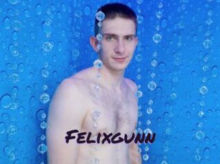 Felixgunn